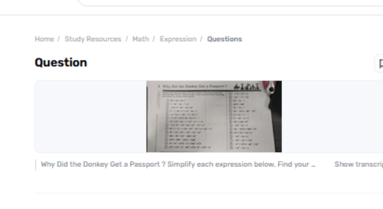 Why Did The Jackass Get A Visa?