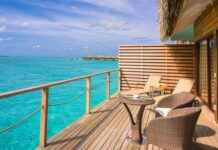 15 AMAZING PLACES WITH THE BEST MEXICAN FOOD IN SAN DIEGO