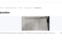 Why Did The Jackass Get A Visa?